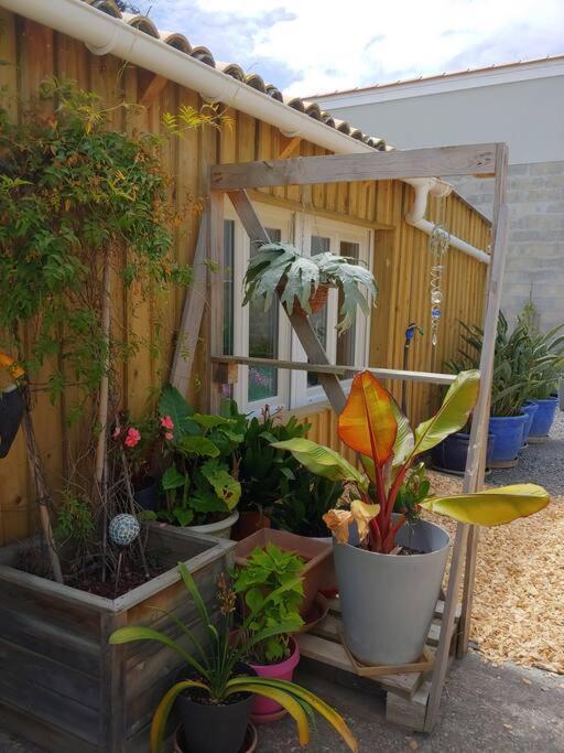 Studio Cocooning Le Porge Bagian luar foto